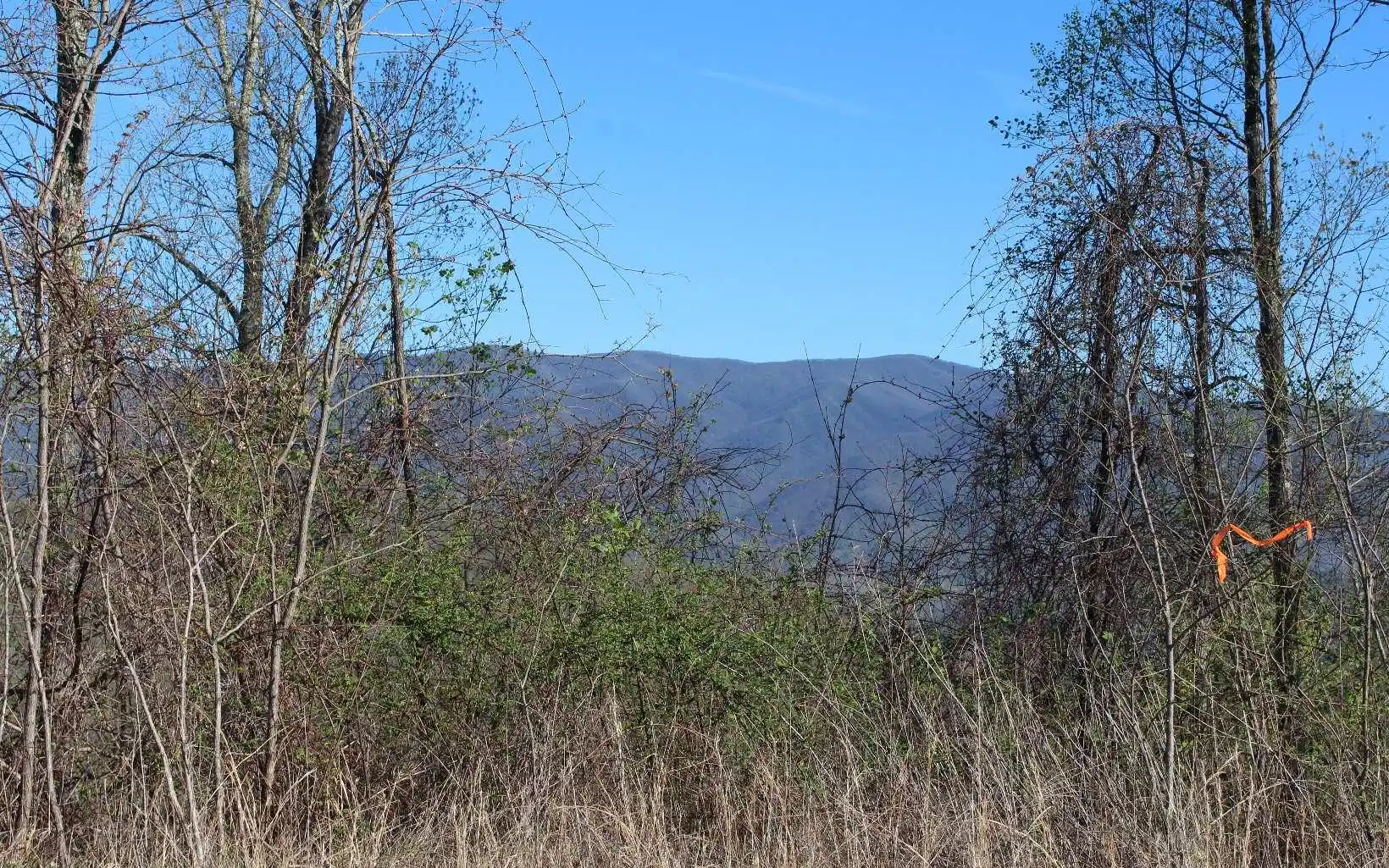 Image 1: Main View