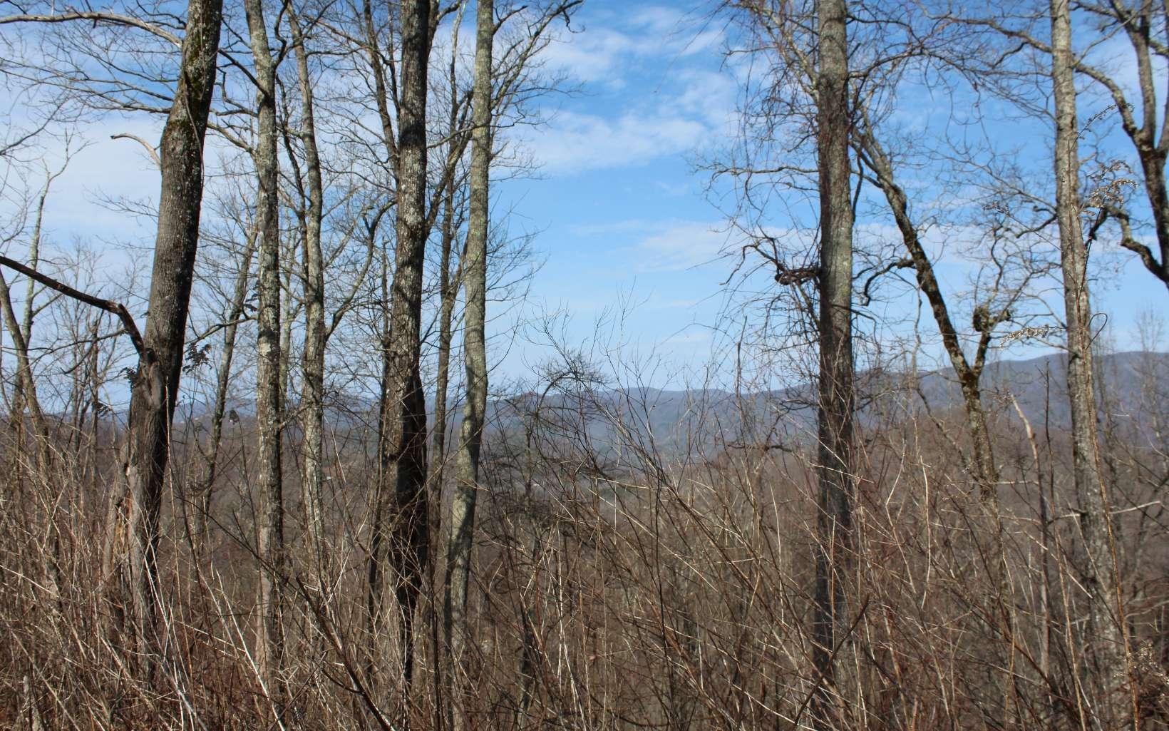 Image 4: Additional View