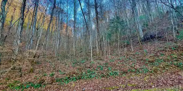 22 Walker Ridge