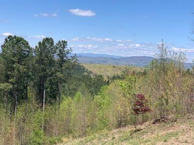Lot 84 Ridge Peak View