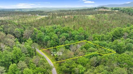 lot 205r Pinnacle Drive