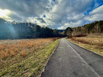 Cedar Springs Road