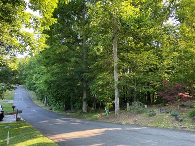 81A-82A Licklog Ridge