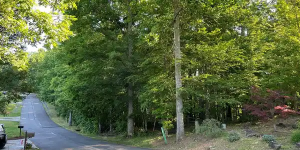 81A-82A Licklog Ridge