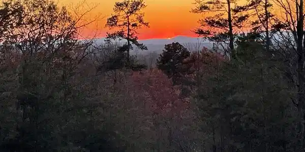 56 Oglethorpe Mountain Trail