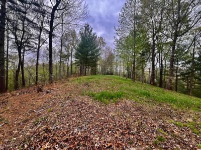 TR1-23 Majestic Mountain Trail