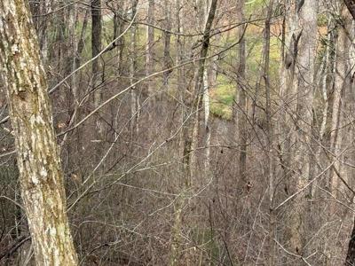 #15A Mossy Oaks Lane