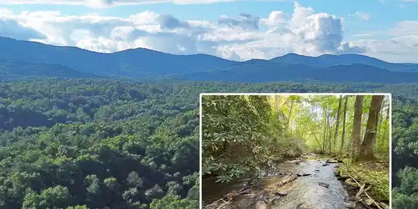 Lot 18 Mt. Springer Road