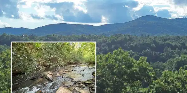 Lot 19 Mt. Springer Road