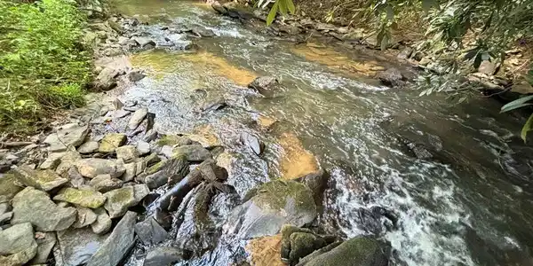 Lot 17 Mt. Springer Road