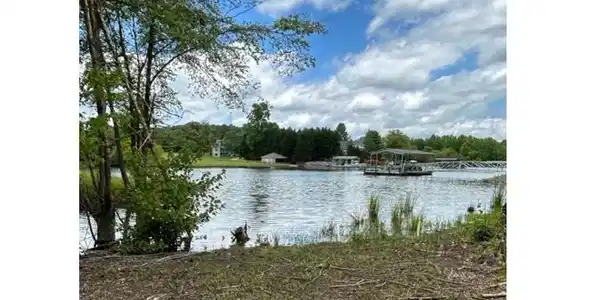 Image 4: Additional View