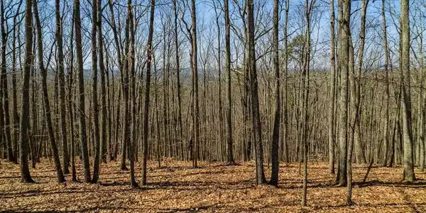 Lot 35 Heatherwood Way