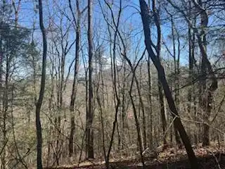 Lot 14 Butler Creek Road