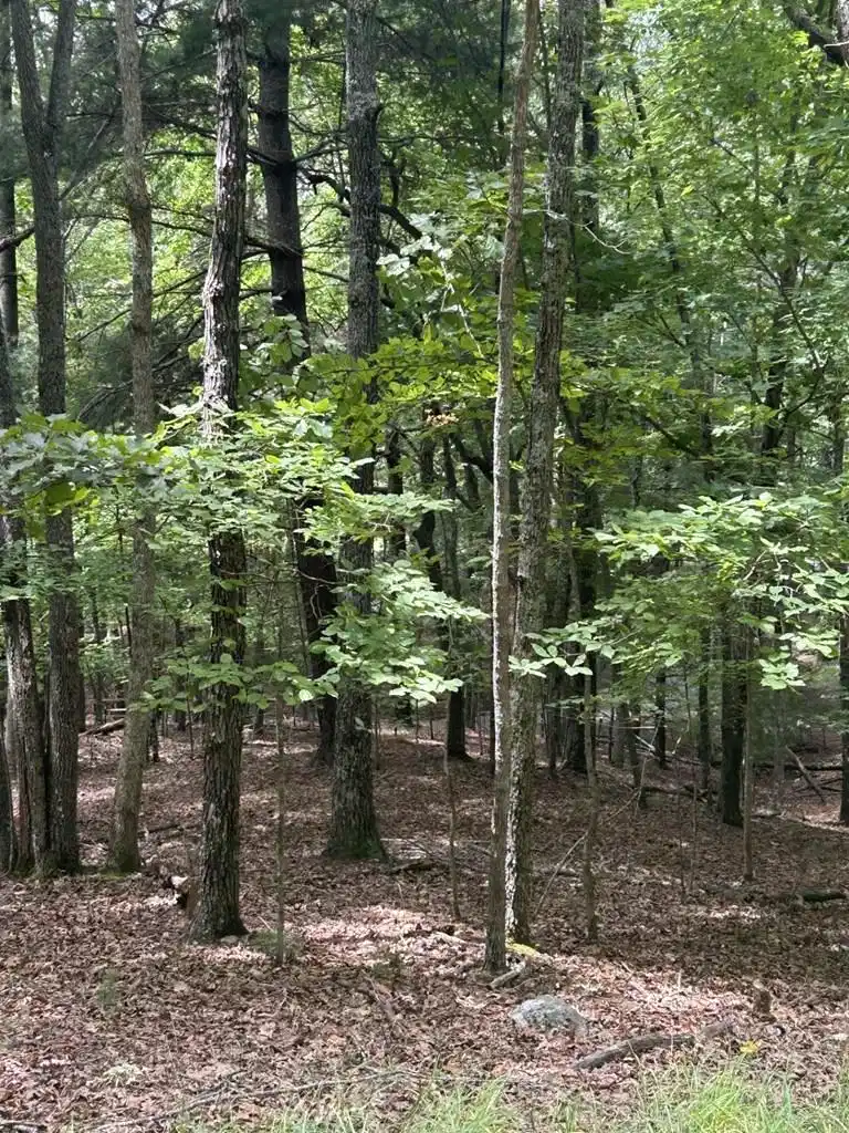 Image 1: Main View