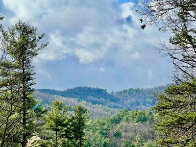7.72 Ac Stanley Creek Road