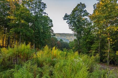 Lot 290 Anglers Ridge Road
