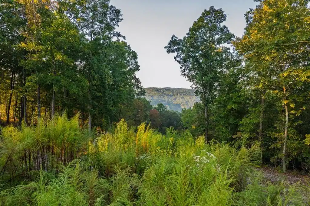 Image 1: Main View