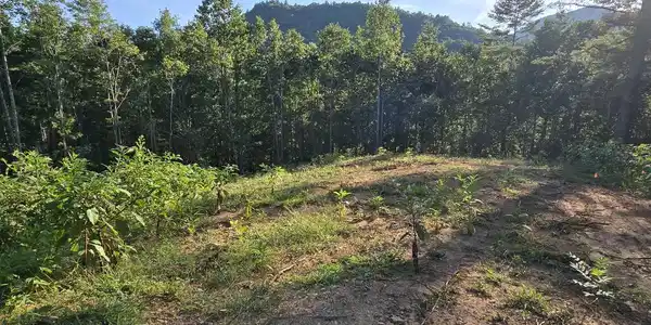 Lot 67 Hi River Country