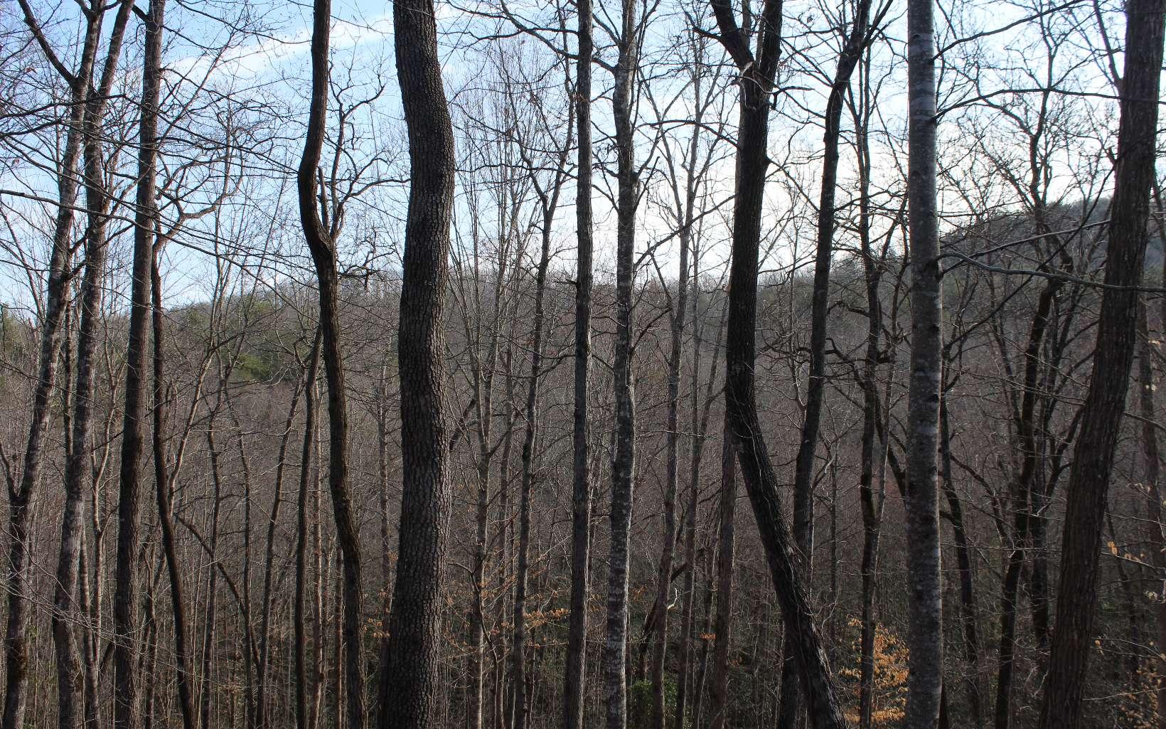 Image 2: Additional View