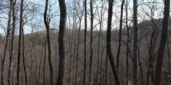 Image 2: Additional View