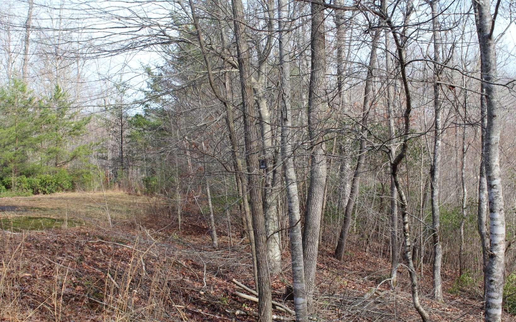 Image 3: Additional View