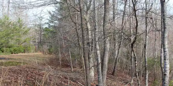 Image 3: Additional View