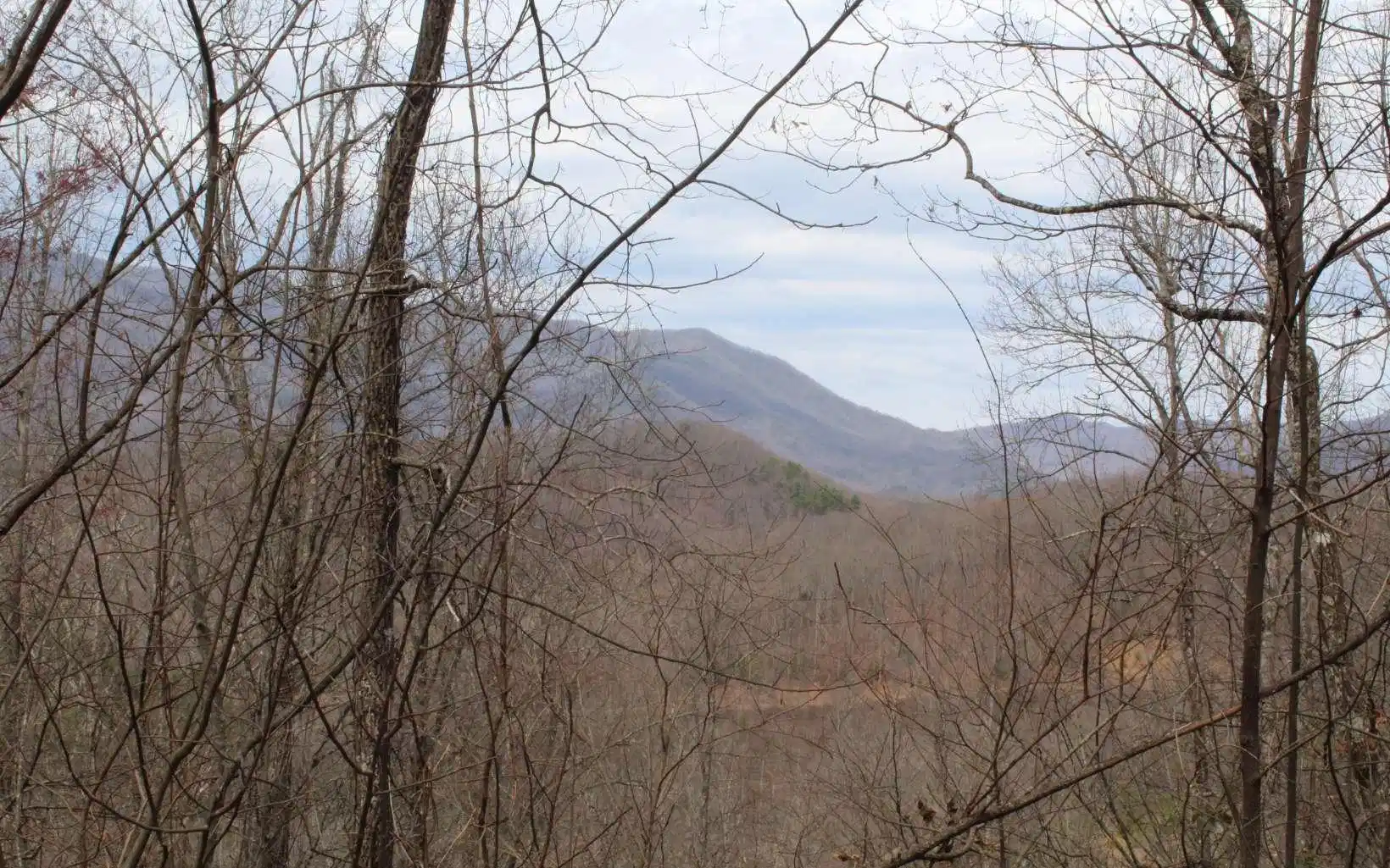 Image 1: Main View