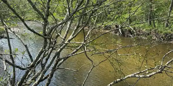Lot 25 White Pine Trail