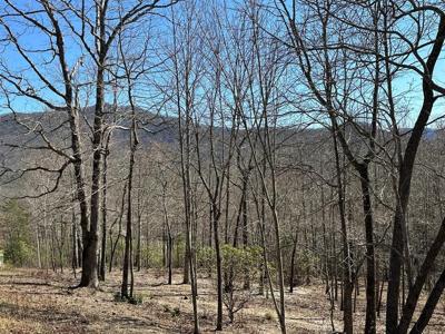 Lot 11 Asheland Cove Drive