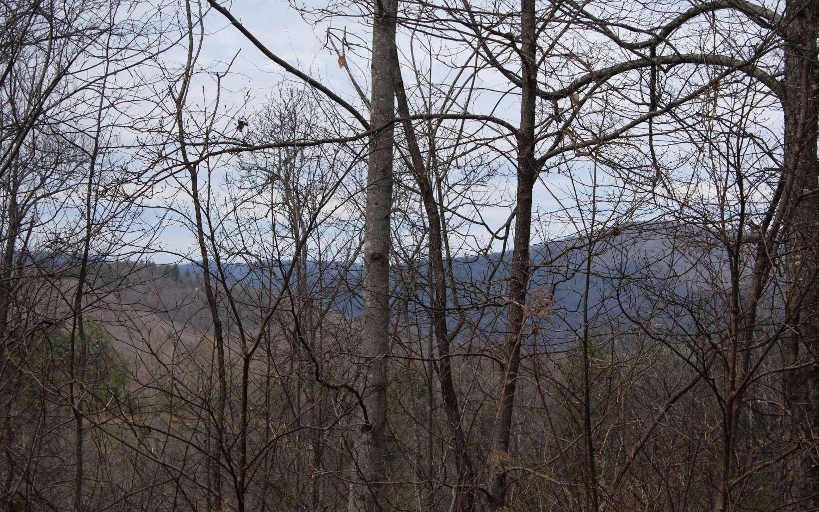 Image 3: Additional View