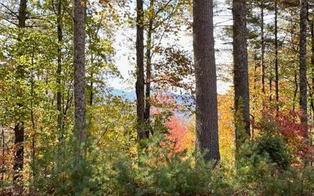 Lt 56,57 Hemlock Heights