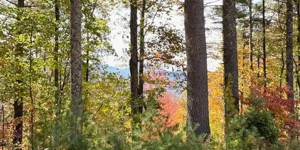 Lt 56,57 Hemlock Heights