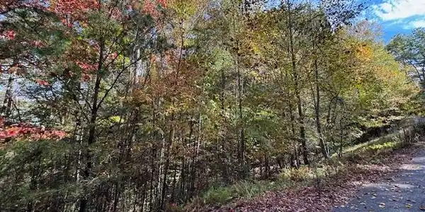 Image 2: Additional View