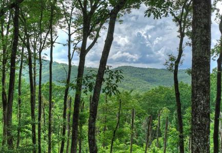 Lot 22 Mountain Trace