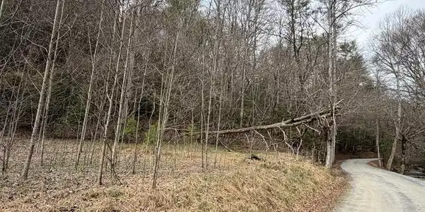 3.1 acre Maple Rest Lane