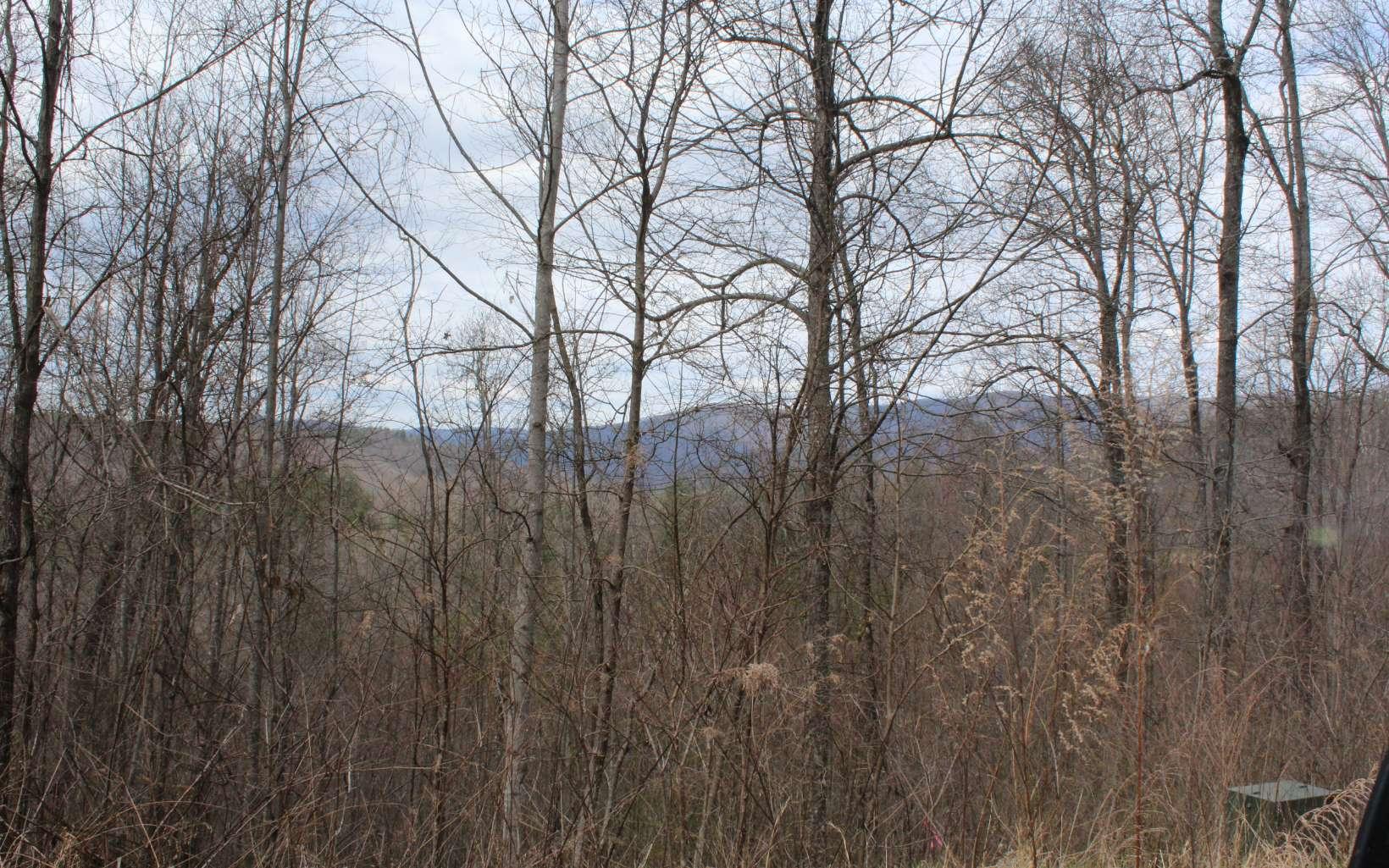 Image 4: Additional View