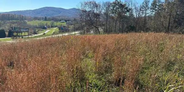 Lots 1-4 Windy Ridge & Hwy 69