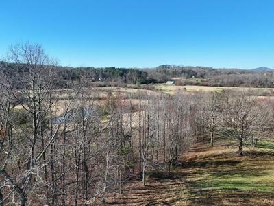 Lot 194 Old Owen Glen Drive