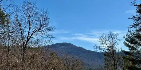 Chimney Top Trail