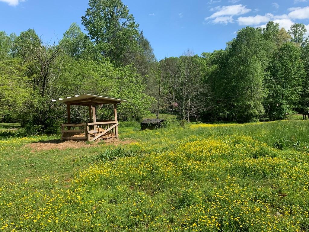 Image 3: Upper 3 acres