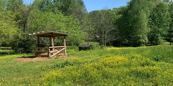 Image 3: Upper 3 acres