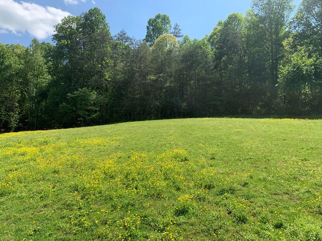Image 4: Upper 3 acres