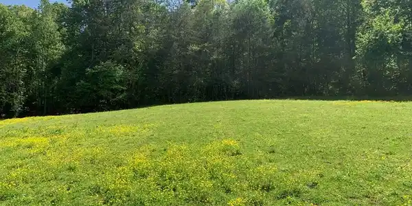 Image 4: Upper 3 acres