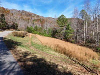 Lot 1 Wildwood