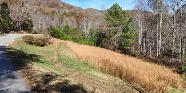 Lot 1 Wildwood