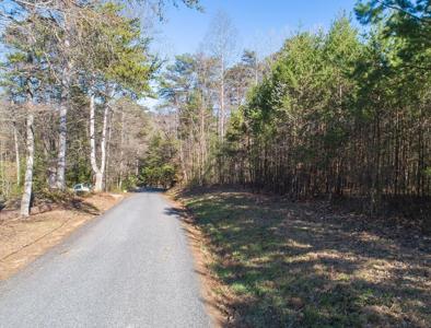 Leslie Drive