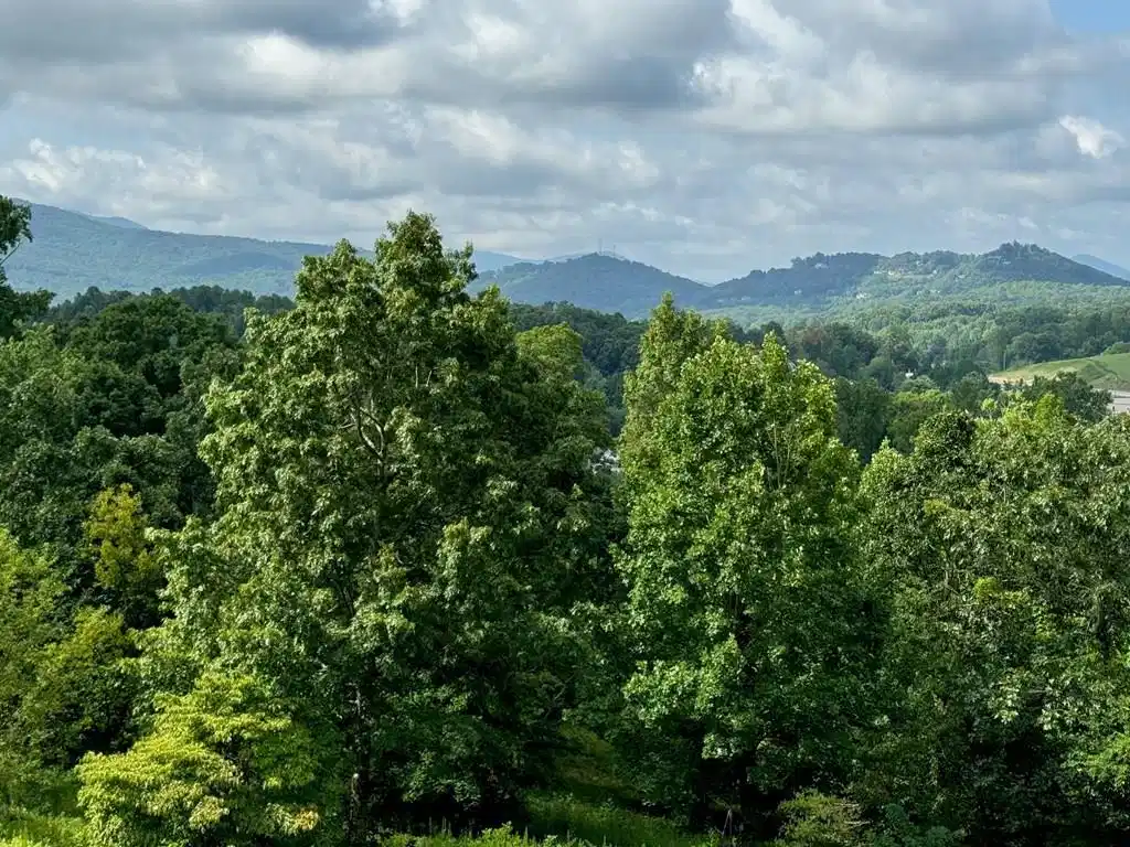 Image 1: Main View