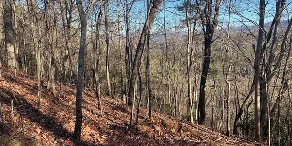 LOT25 Laurel Mountain Drive