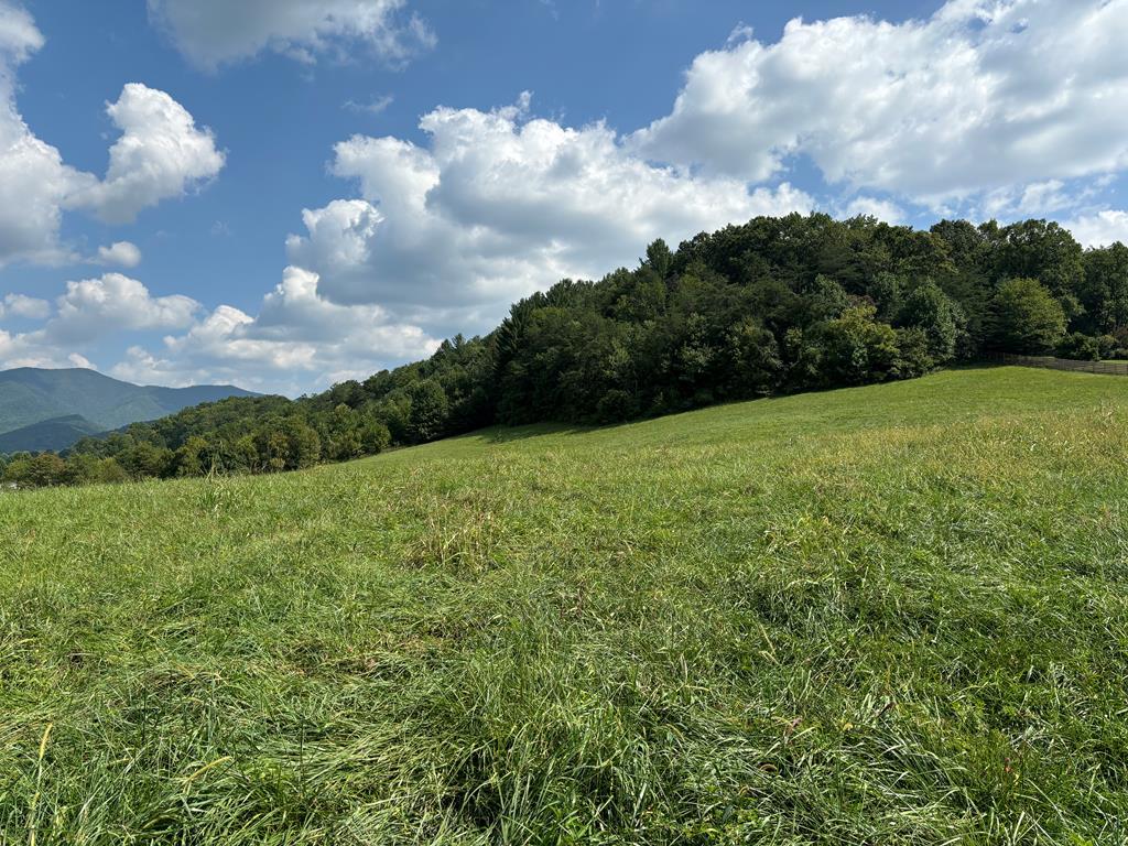 Image 1: Main View