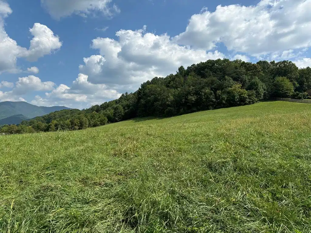 Image 1: Main View